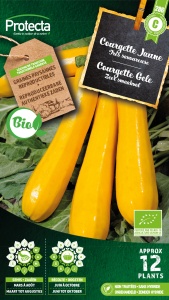 Courgette Gele FR-BIO-15