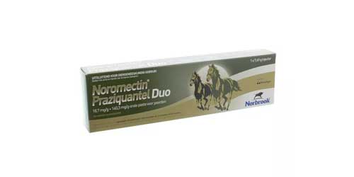 URA paard category