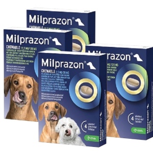 Milprazon worm kauwtabletten hond