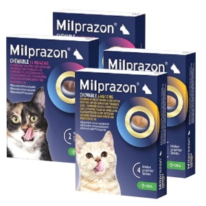 Milprazon worm kauwtabletten kat