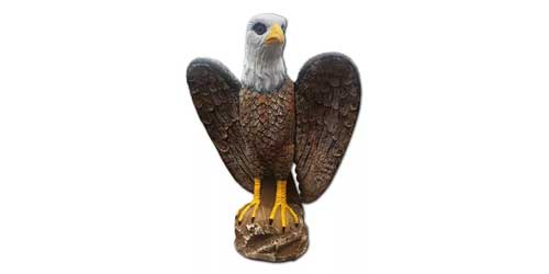 Vogels category