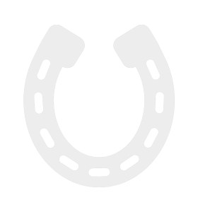horse shoe